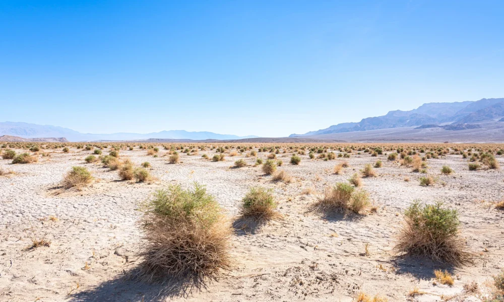 American Battery Technology: Another Good Quarter Under The Belt