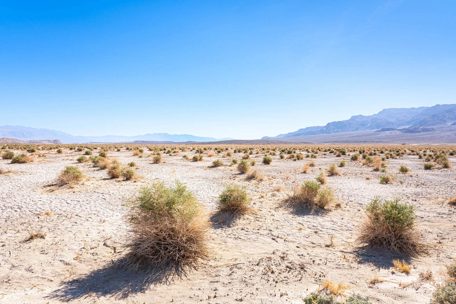 American Battery Technology: Another Good Quarter Under The Belt