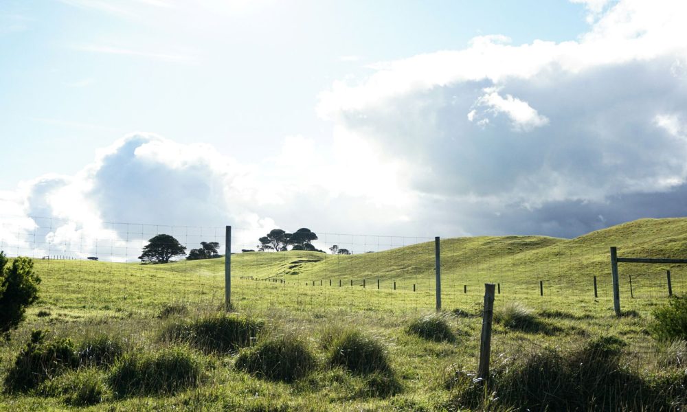 RLF Agtech appoints Upton as CEO