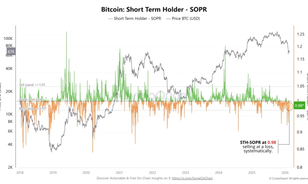 Who Is Behind Bitcoin's Selling Pressure? On-Chain Data Exposes the Groups Leading Capitulation