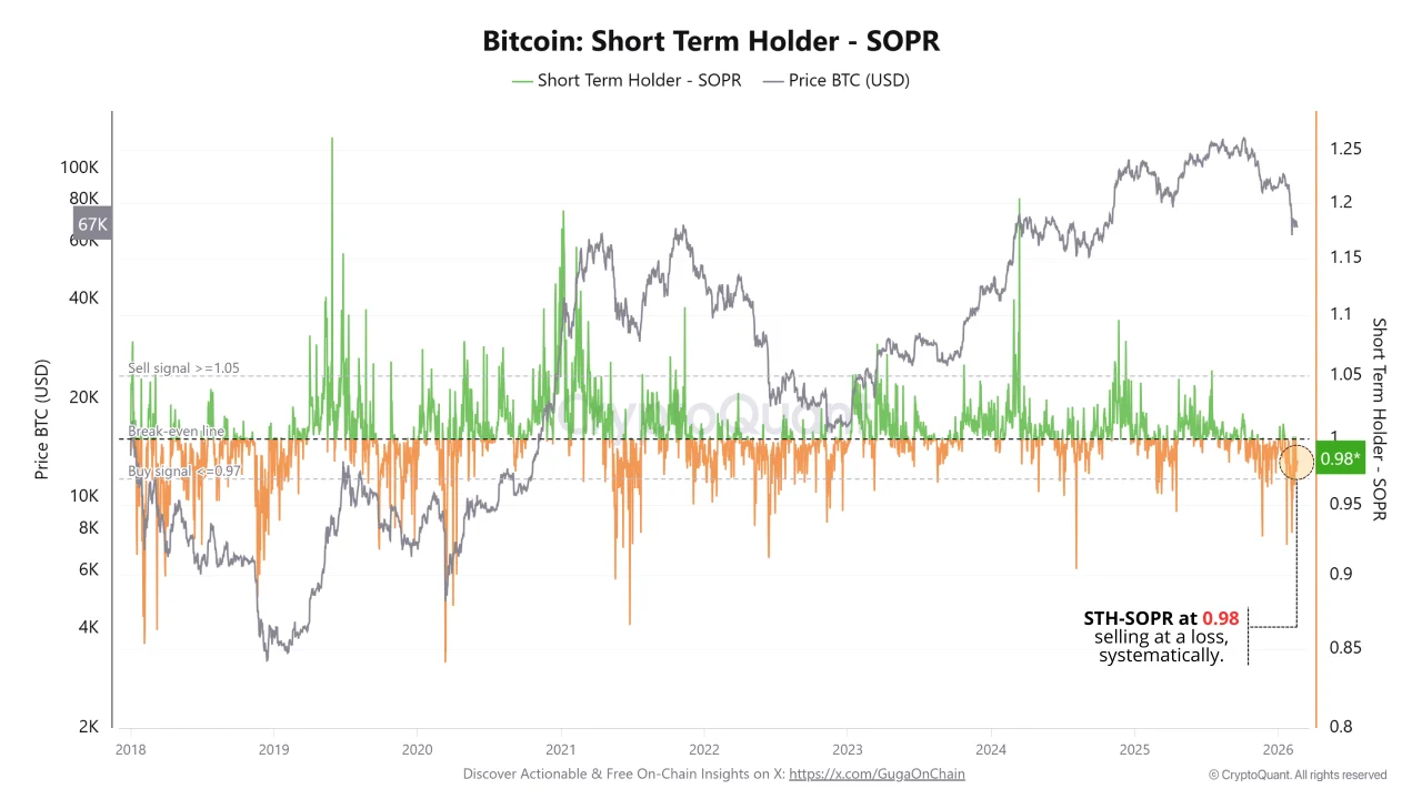 Who Is Behind Bitcoin's Selling Pressure? On-Chain Data Exposes the Groups Leading Capitulation