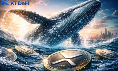 Over 9 million XRP transferred to KT DeFi, whale activity comes into focus - 1
