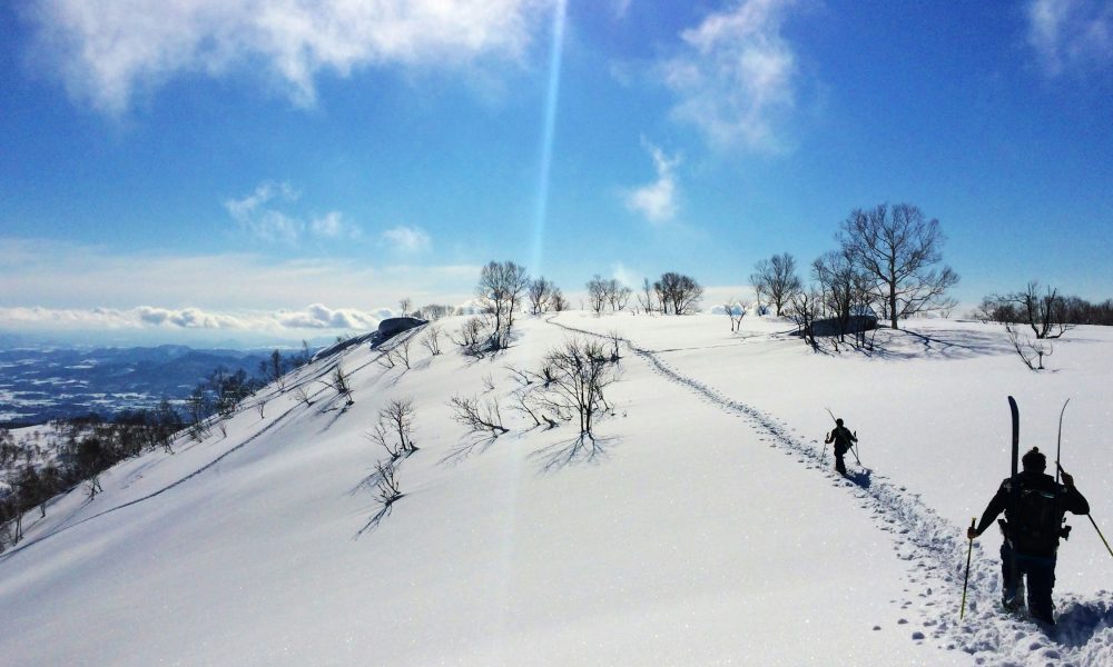 Niseko