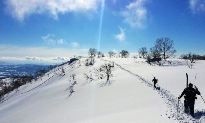 Niseko