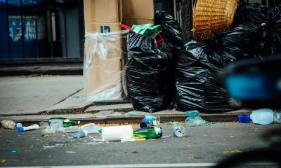 Steve Harden: Education without enforcement is failing our streets