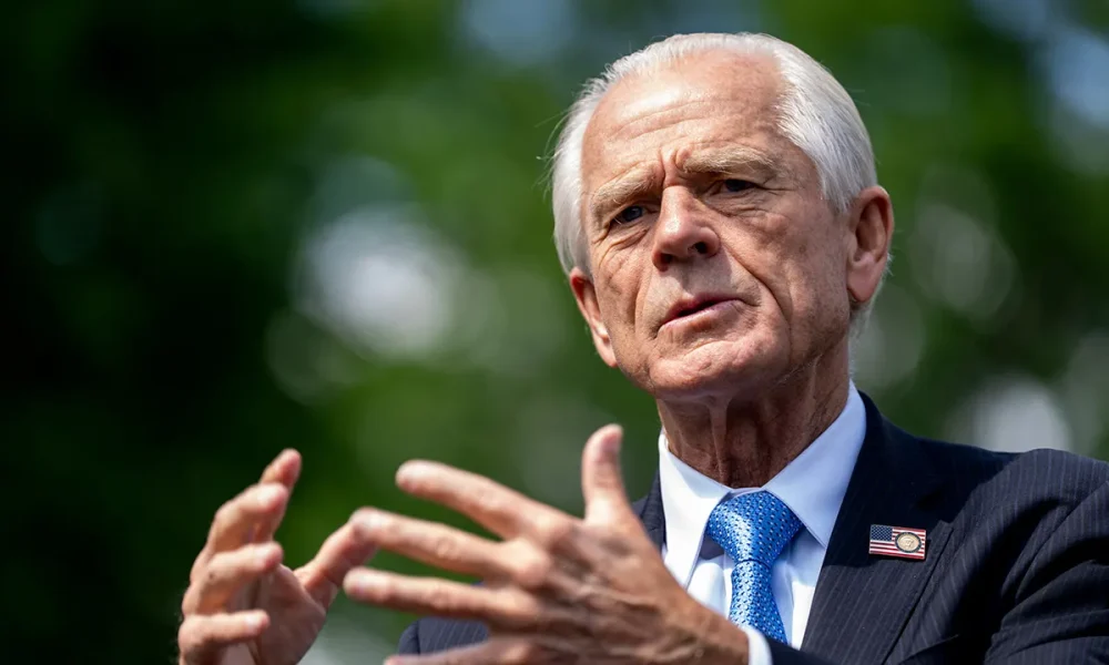Peter Navarro promises Americans 'biggest rebate' in US history under Trump