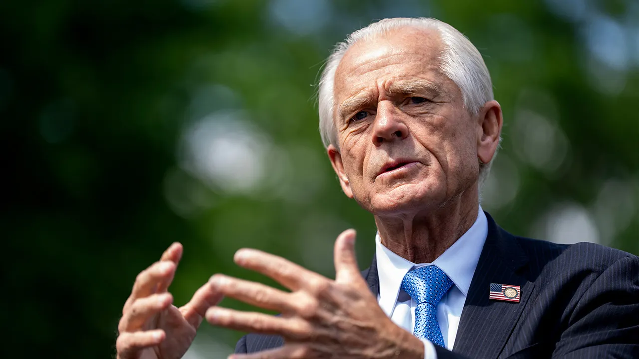 Peter Navarro promises Americans 'biggest rebate' in US history under Trump