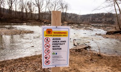Bowser requests Trump’s help on Potomac sewage spill