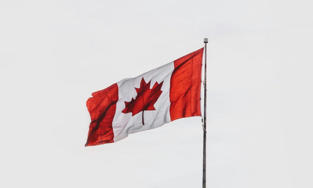 Bellavista taps investors for $35m