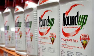 Bayer proposes plan to pay over $7B to settle Roundup cancer lawsuits