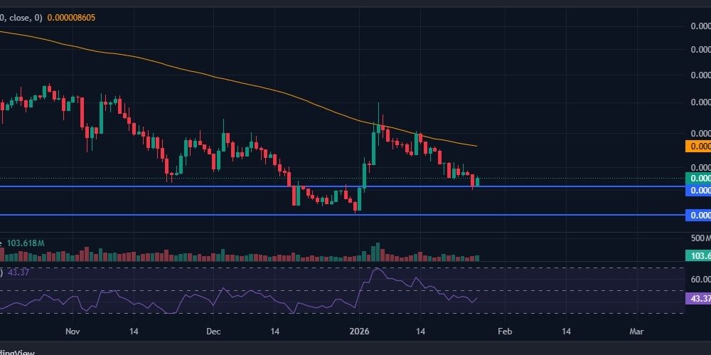 Shiba Inu Price Chart