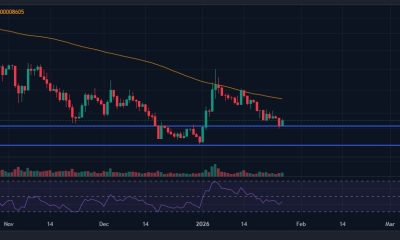Shiba Inu Price Chart