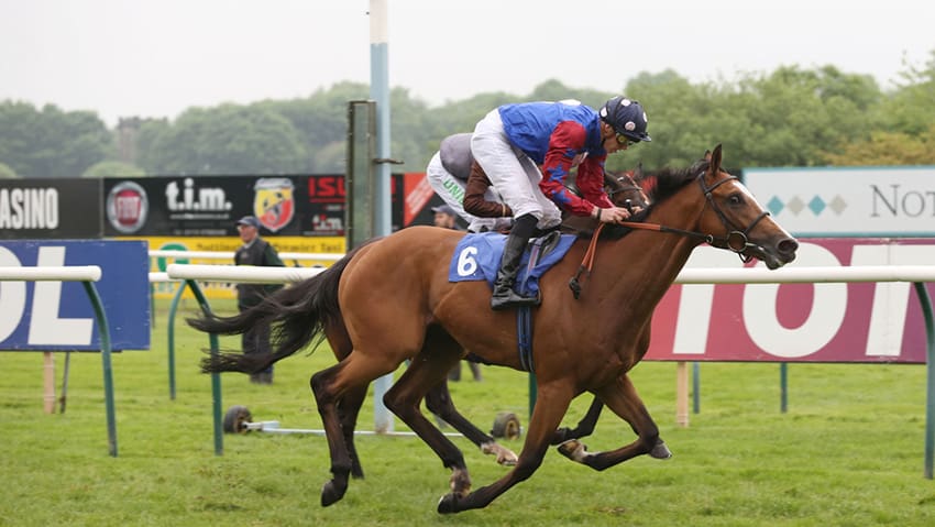 How Football Became Britain's Most Bet-On Sport