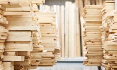 Why Thermally Modified Timber Has Moved Into the Construction Mainstream