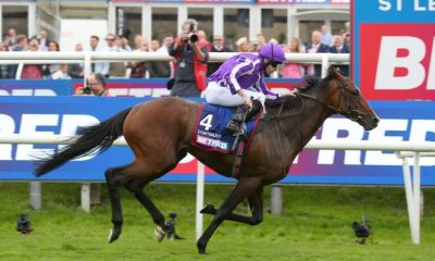 The UK has established itself as a leader in equestrian excellence, with its thoroughbred horses celebrated worldwide for their pedigree, performance, and prestige.