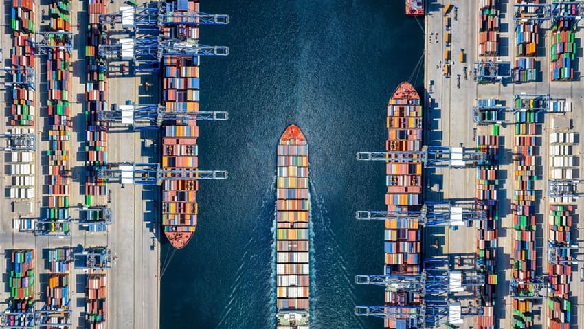 How Professional Translation Services Drive International Business Growth