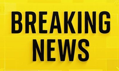 Bangladesh's Nationalist Party claims victory in historic election | World News