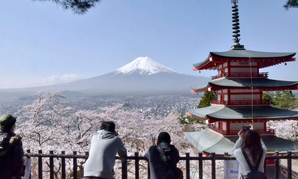 The view of Mount Fuji from Arakurayama Sengen Park. Pic: AP