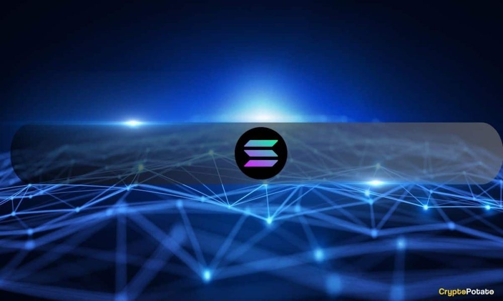 Solana Growth Signals Hope Despite Woes