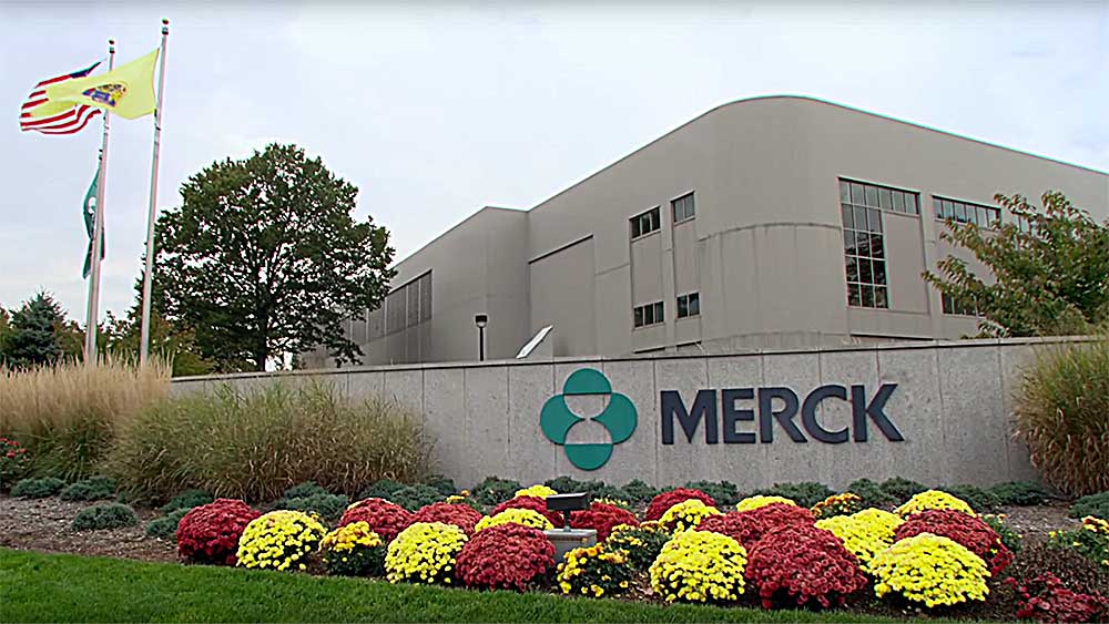 Merck Quashes Fourth-Quarter Calls, But 2026 Guidance Rattles Shares