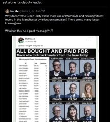 Mothin Ali, Green party deputy, responds to smears