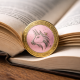 A cryptocurrency token featuring a unicorn emblem resting on the pages of an open book.
