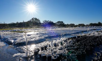 150 million people in US under cold weather advisories