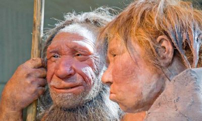 Humans mated with Neanderthals. Now scientists know more about how that happened