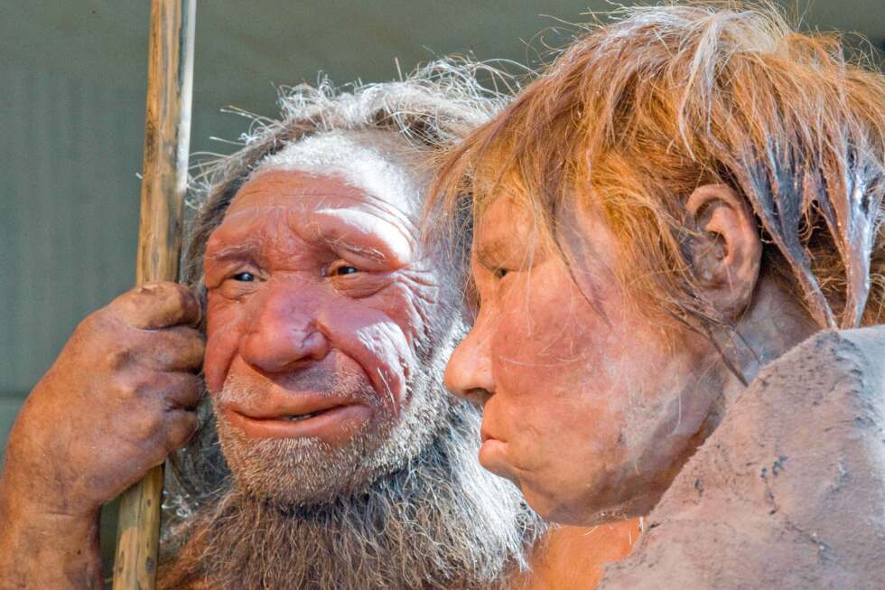 Humans mated with Neanderthals. Now scientists know more about how that happened