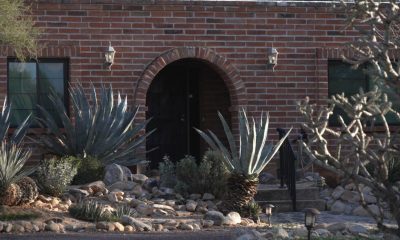 Savannah Guthrie pleads for safe return of mother, says 'We will pay'