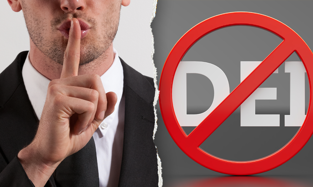 DEI programs called 'excessive' as major companies drop practices