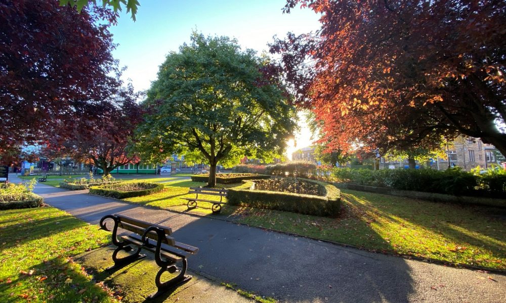 Stewart Harper: Why if you are on the frontline of campaigning - Harrogate this year, matters