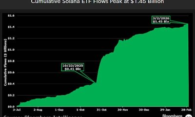 Solana ETFs Hold Strong Despite 70% Token Price Decline