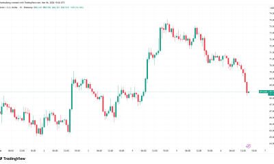 US Jobs Miss Fails to Stop Bitcoin Erasing Its $74,000 Breakout Attempt