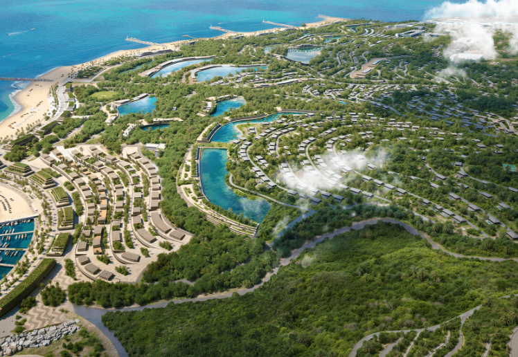 Olivier Janssens’ Nevis Project Offers Residents $100 a Month