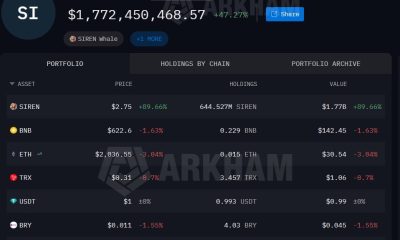 Siren Token Rises 340% as Analysts Flag Concentrated Holdings