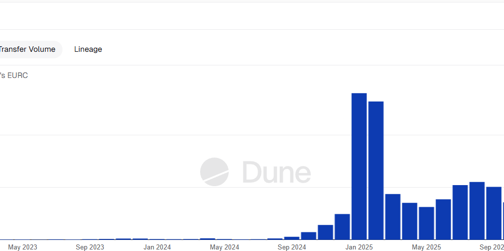 Euro Stablecoins Take Lead in Non-Dollar Market, Visa Report Says