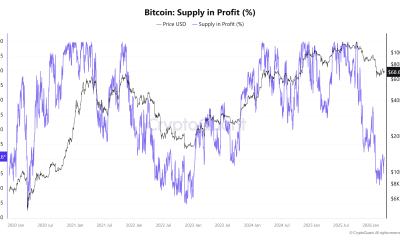 Cryptocurrencies, Bitcoin Price, Bitcoin Analysis, Adoption, Cryptocurrency Exchange, Price Analysis, Market Analysis, Bitcoin ETF, ETF