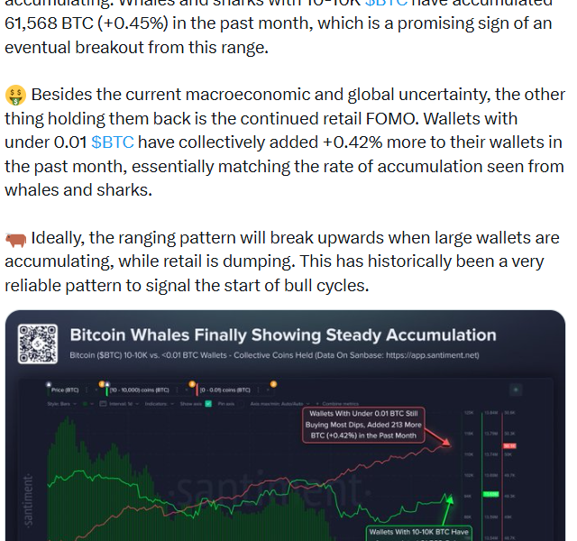 Bitcoin Whales Bought up 61K BTC In a Month Amid Global Uncertainty
