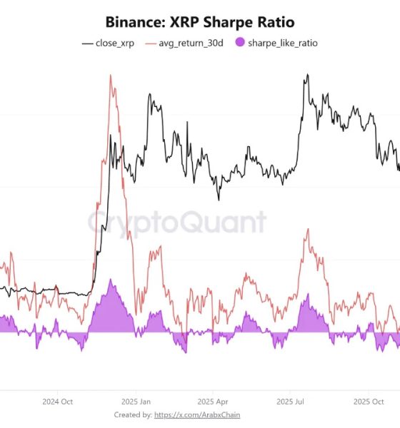 Cryptocurrencies, XRP, Markets, Cryptocurrency Exchange, Price Analysis, Futures, Market Analysis, Altcoin Watch