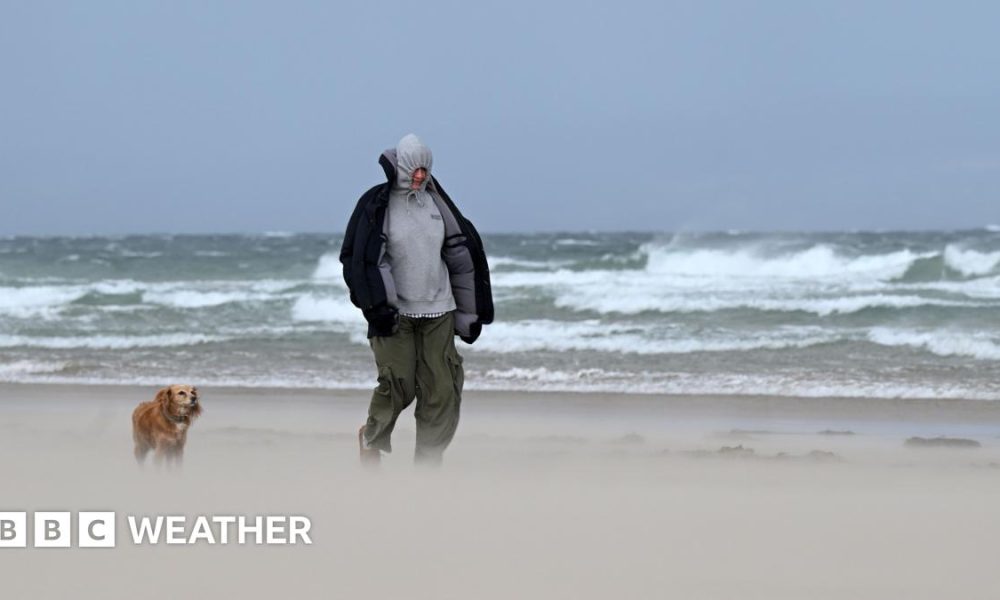 Man and his dog walking along a beach where sand is visibily lifted up with large waves in the background