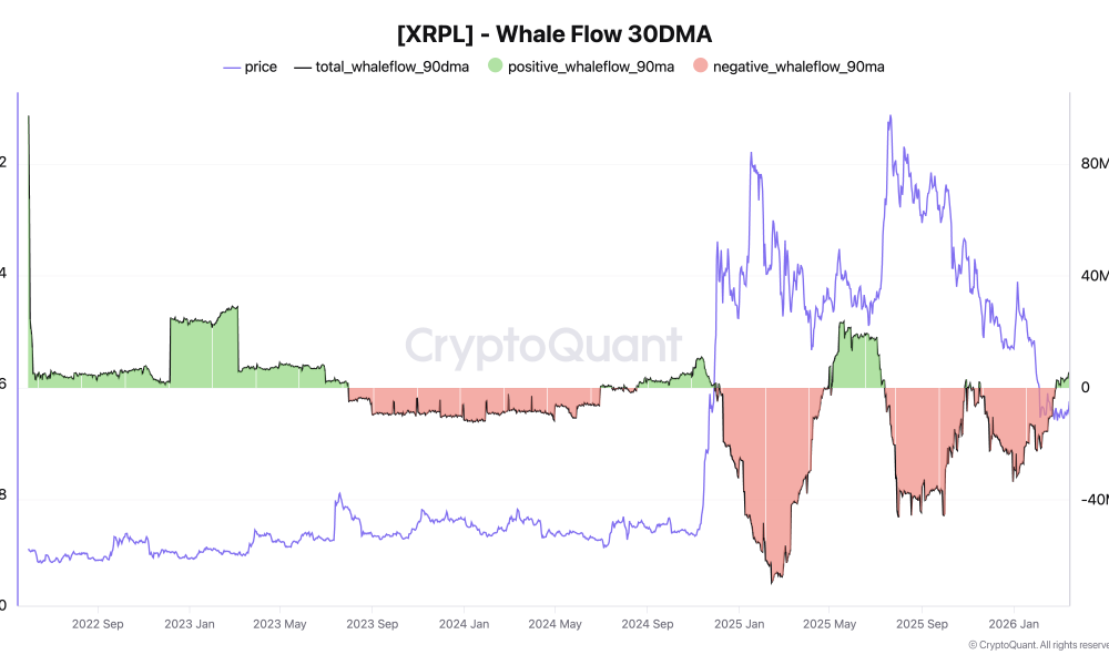 XRP Whale Flow.