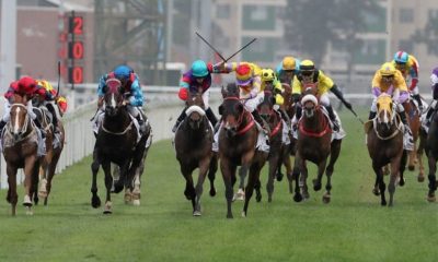 How Major Sporting Events Like Cheltenham Festival Impact The UK Economy