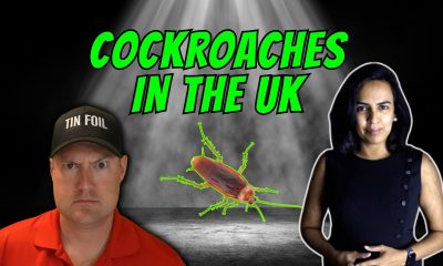 Private Credit Fraud: Market Financial Solutions Goes Bankrupt