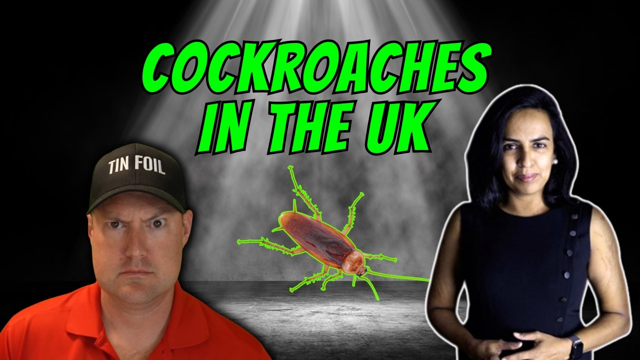 Private Credit Fraud: Market Financial Solutions Goes Bankrupt