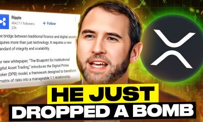 RIPPLE CEO JUST DROPPED A F**KING BOMB.