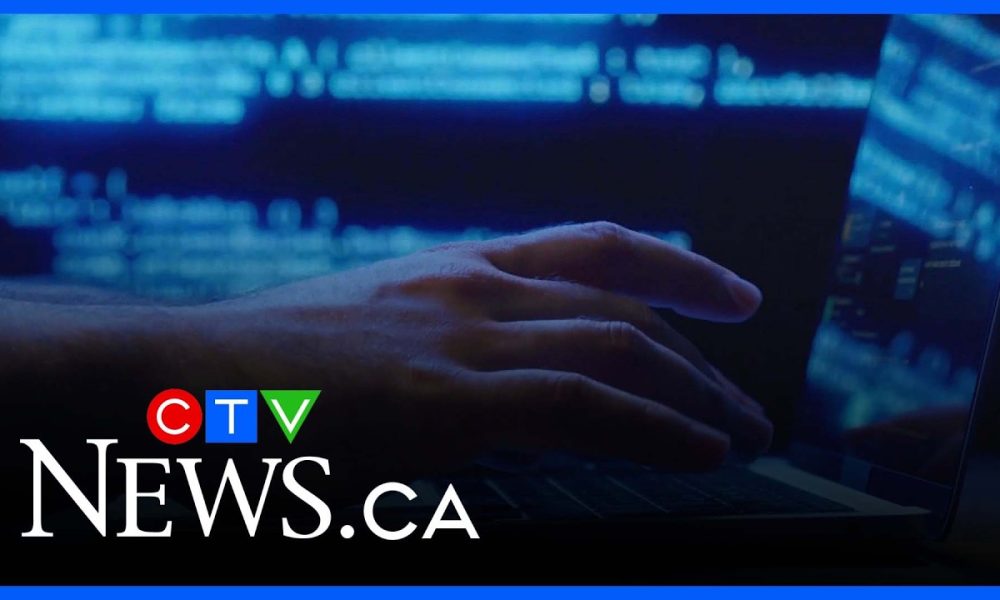 Increase in financial scams lead to consumers feeling ‘burnt out’