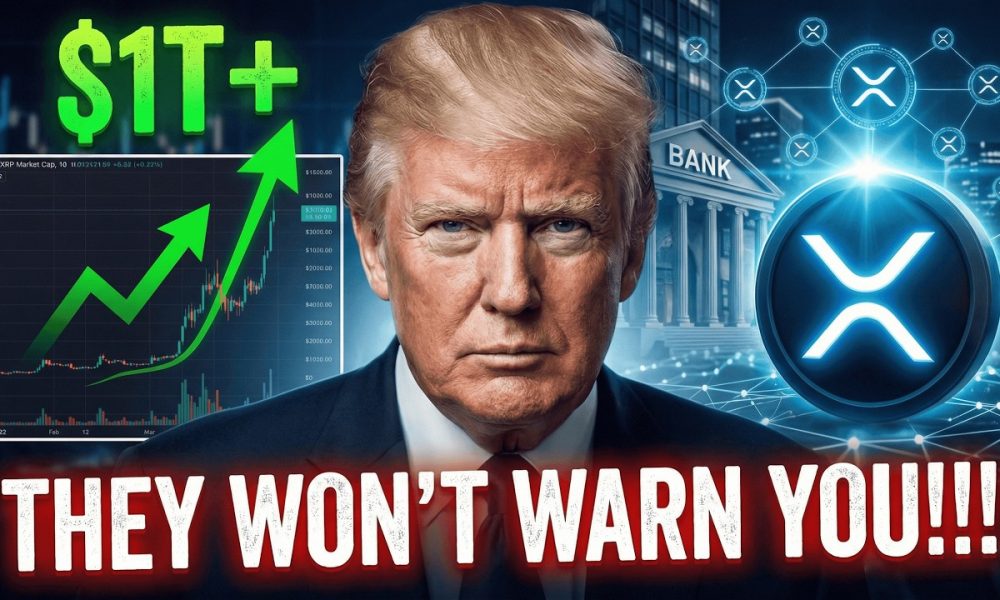 XRP MARKETCAP DOESN'T MEAN S**T - BANKS WON'T WARN YOU OF THIS - TRANSATLANTIC RAILS ARE READY TO GO