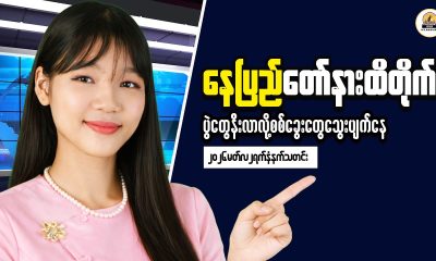 Creating Financial Stability Through Smart Decisions