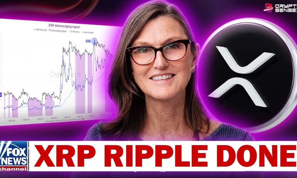 XRP AND RIPPLE *DONE* (''XRP WILL CHANGE THE WORLD''!?!?)